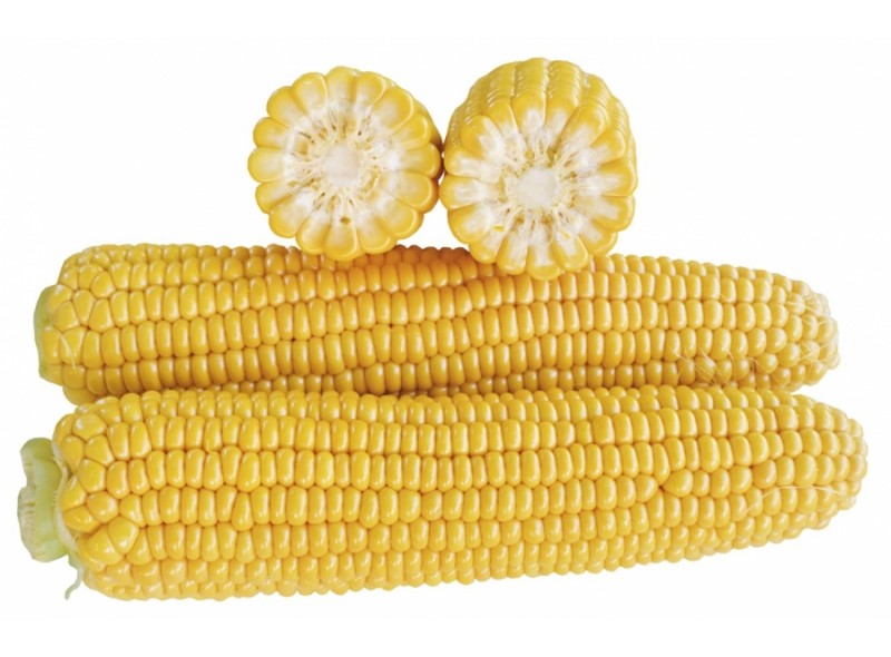 Семена кукурузы сахарной (Sh2 тип) 1707 F1 (71 дней), кочан 25 см (2 500 сем.) Lark Seeds